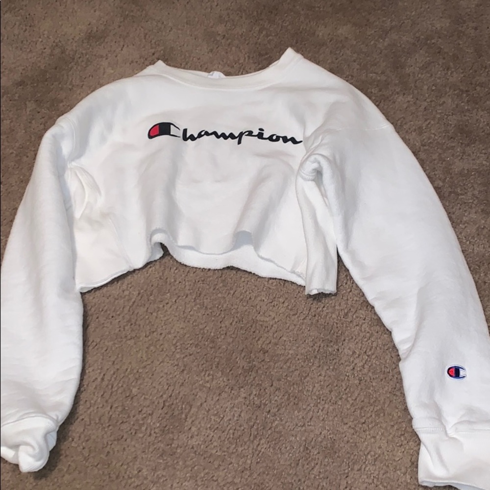Champion cropped crew neck hoodie